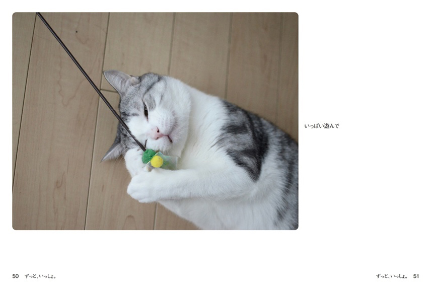 フォトブック 50ページ目