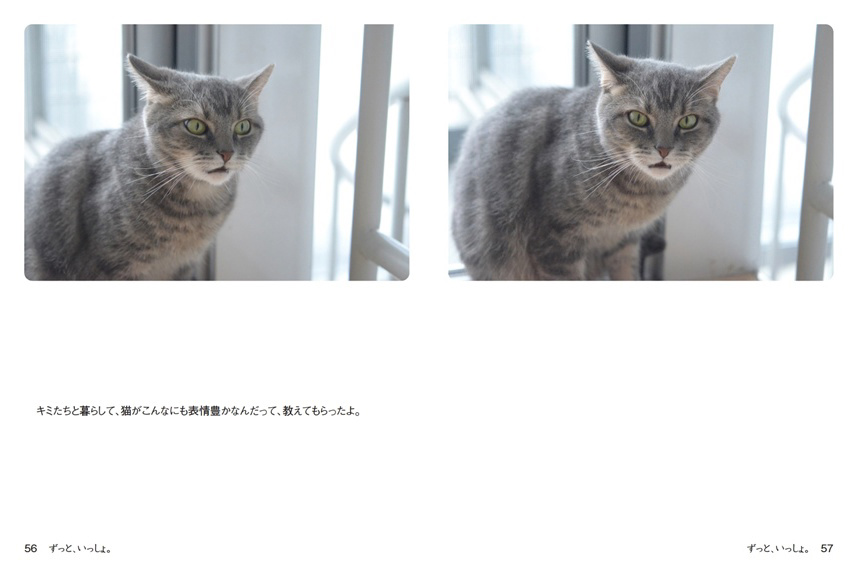 フォトブック 56ページ目