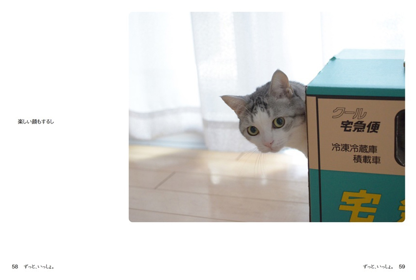 フォトブック 58ページ目