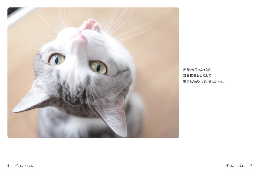フォトブック 6ページ目