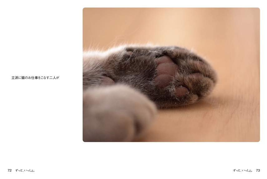 フォトブック 72ページ目