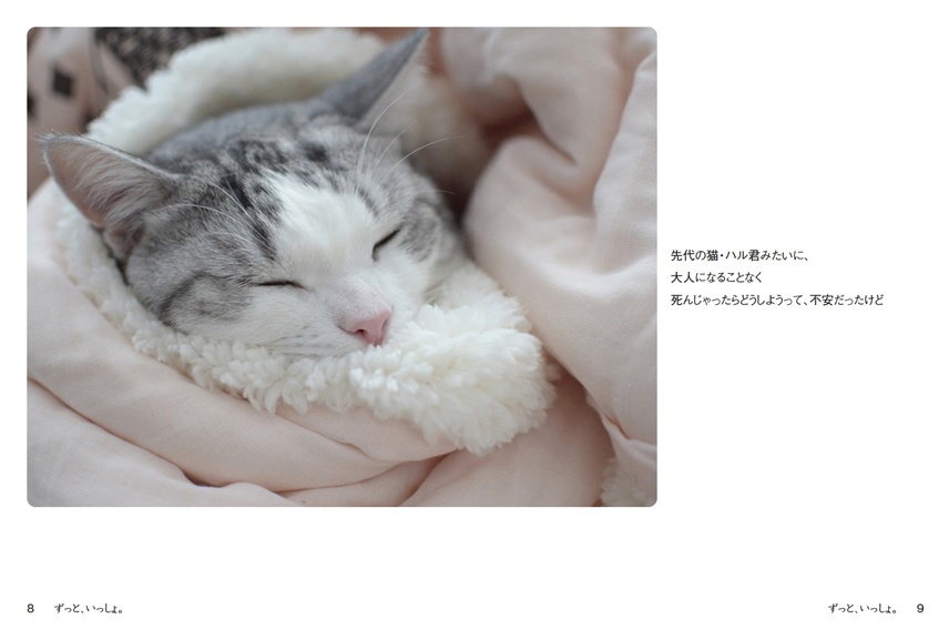フォトブック 8ページ目
