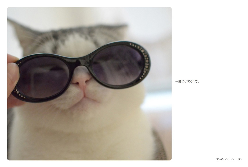 フォトブック 84ページ目