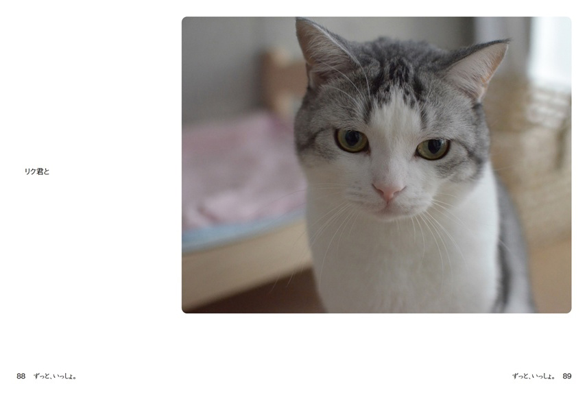 フォトブック 88ページ目
