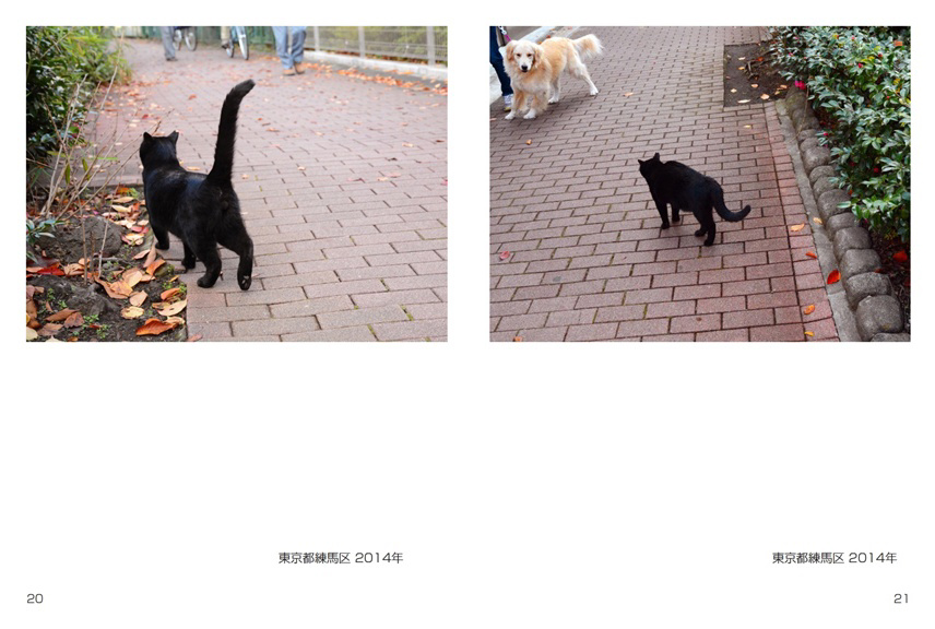 フォトブック 20ページ目