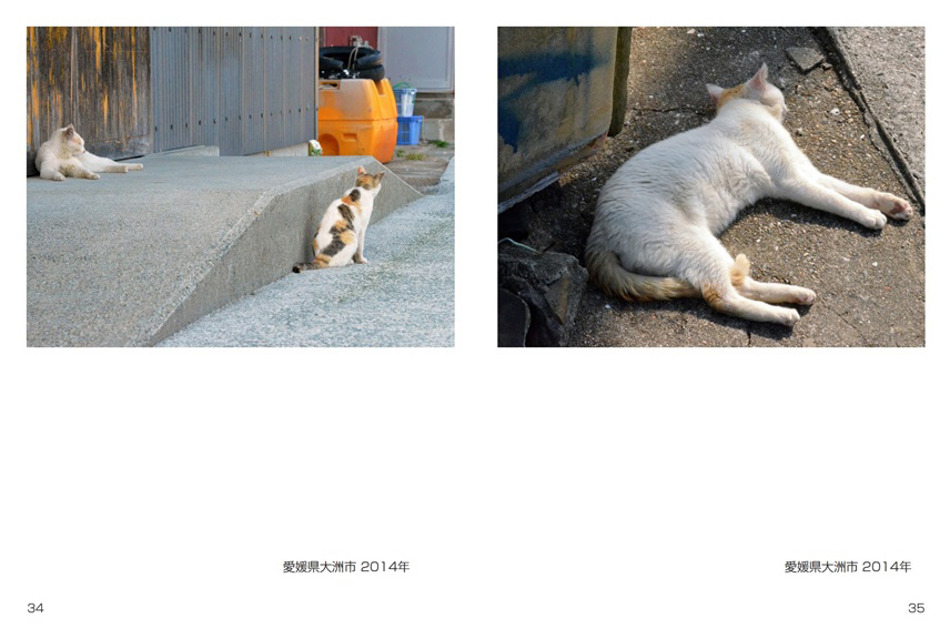 フォトブック 34ページ目