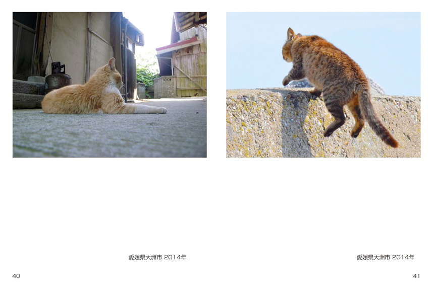 フォトブック 40ページ目
