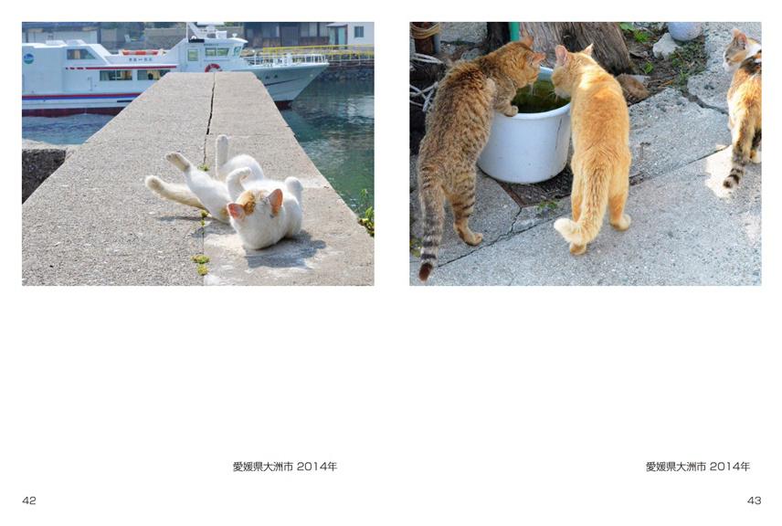 フォトブック 42ページ目