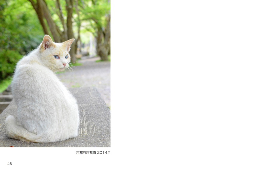フォトブック 46ページ目