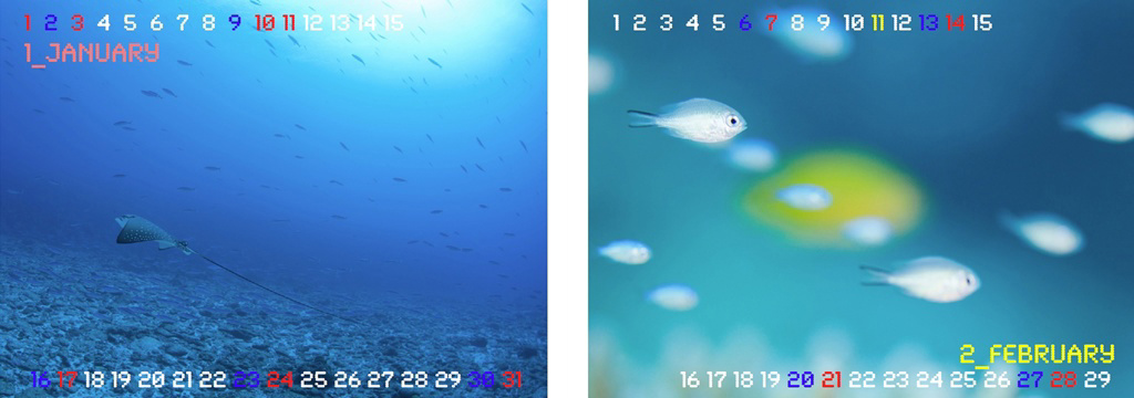 フォトブック 6ページ目