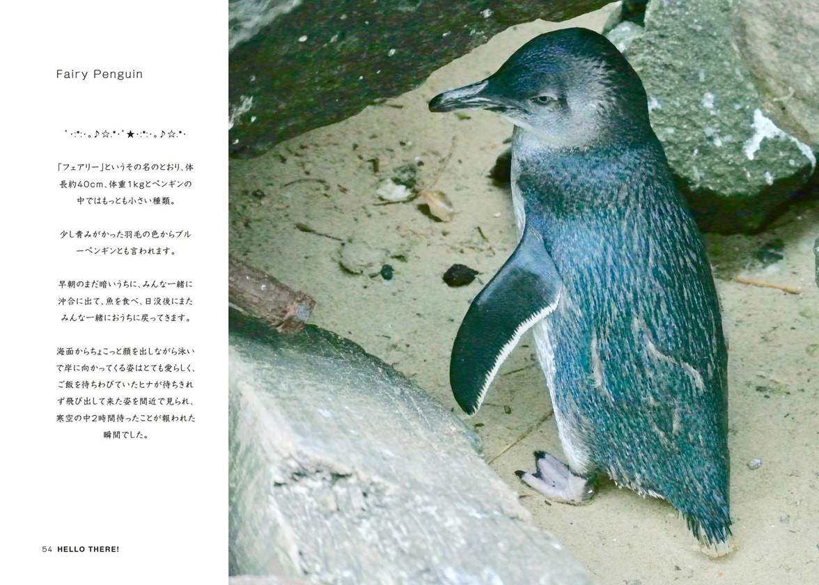 フォトブック 54ページ目