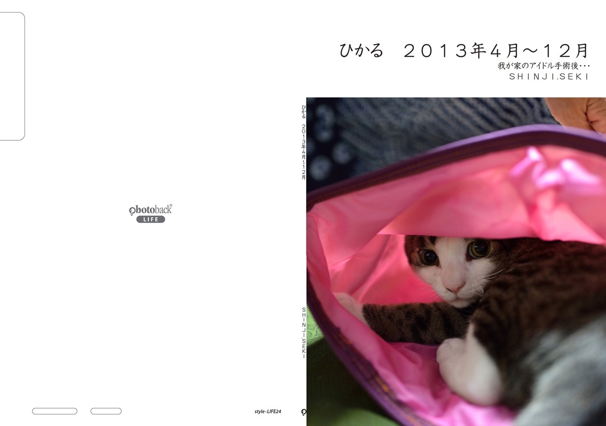 フォトブック ジャケット