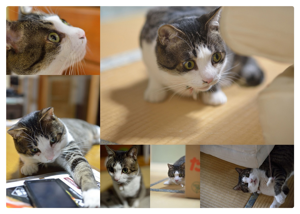 フォトブック 10ページ目