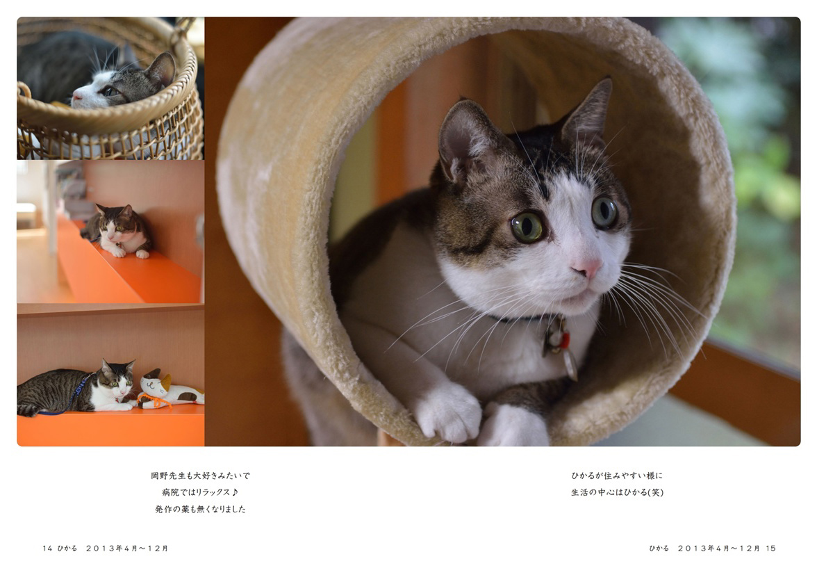 フォトブック 14ページ目