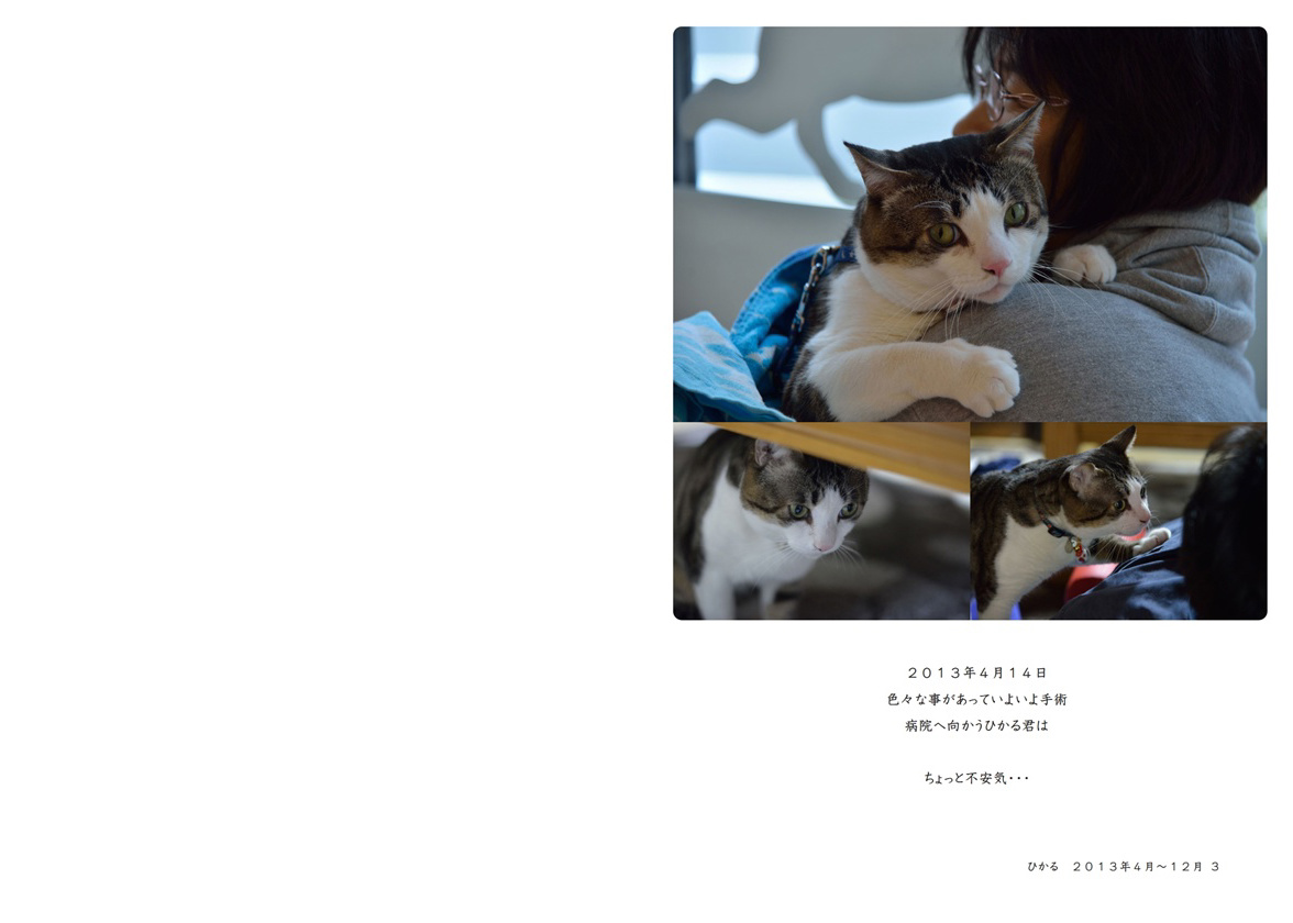 フォトブック 2ページ目