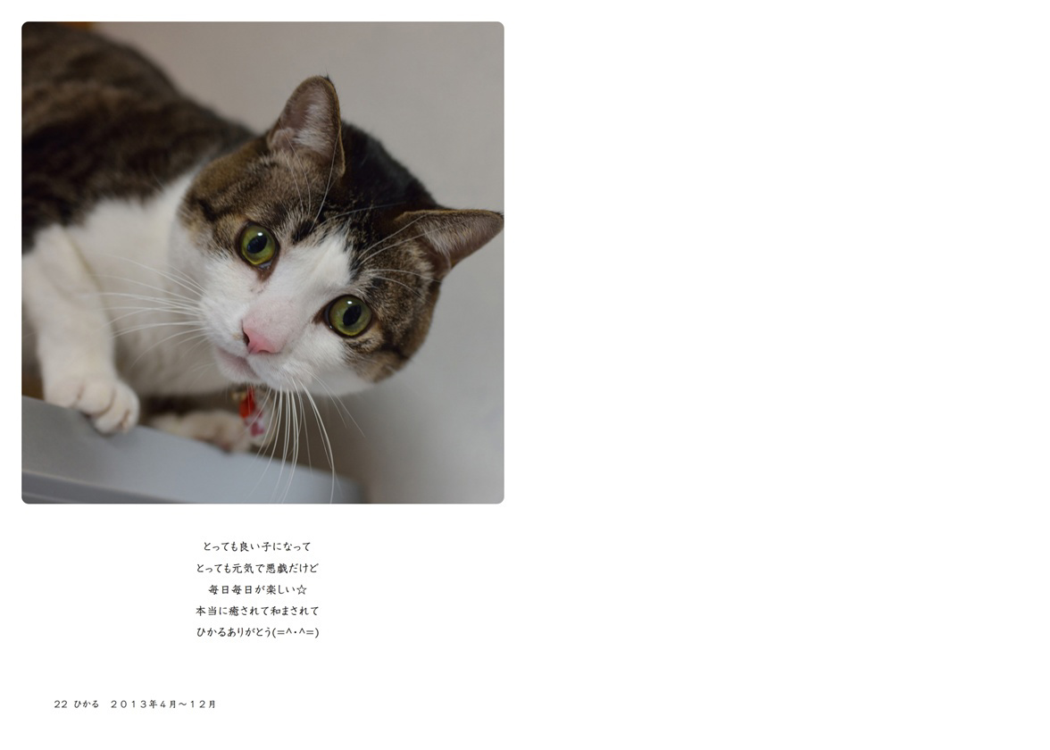 フォトブック 22ページ目