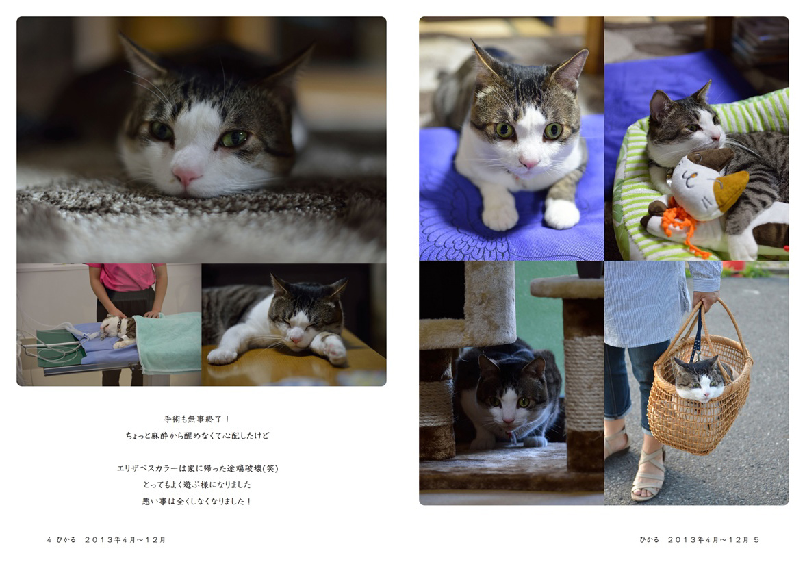 フォトブック 4ページ目