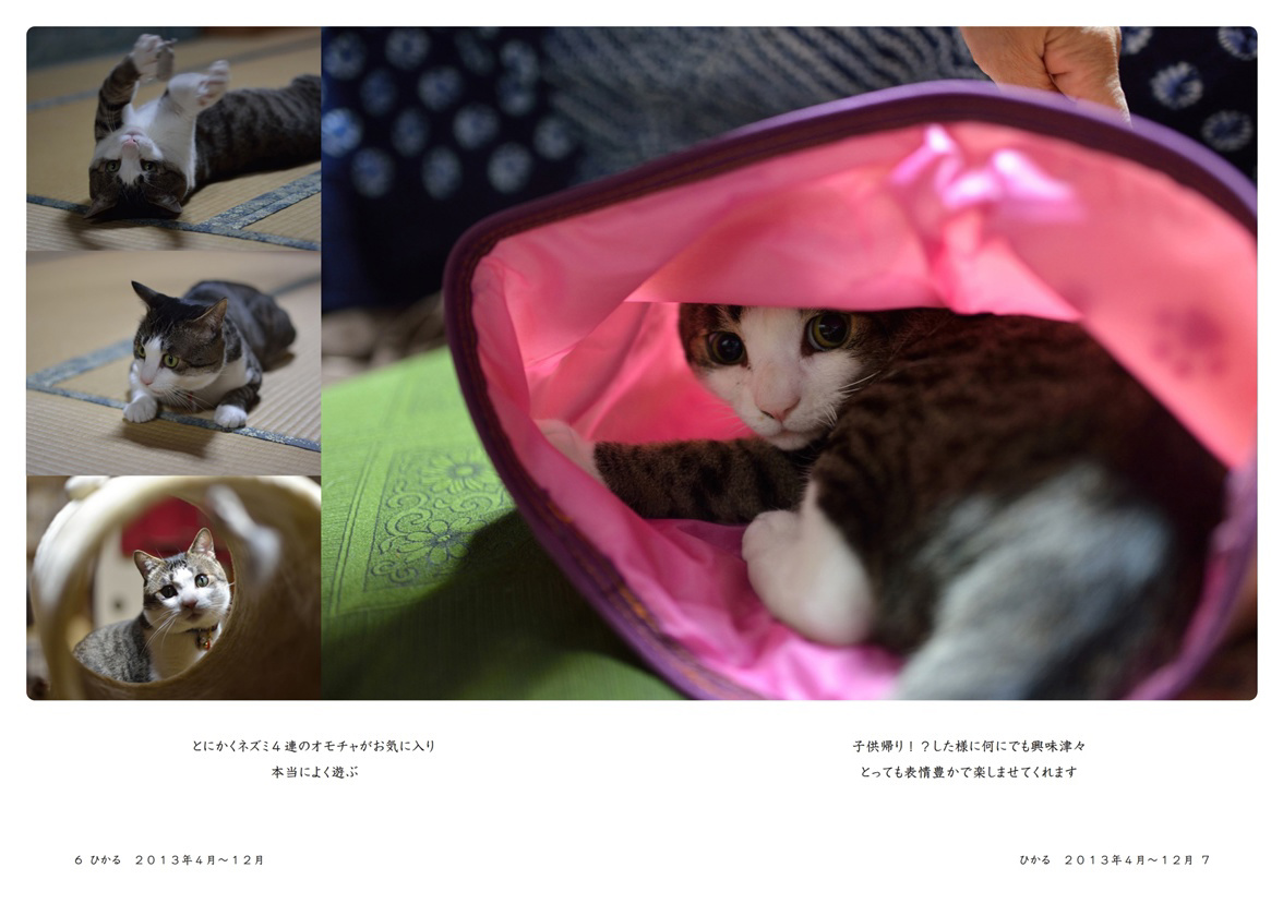 フォトブック 6ページ目