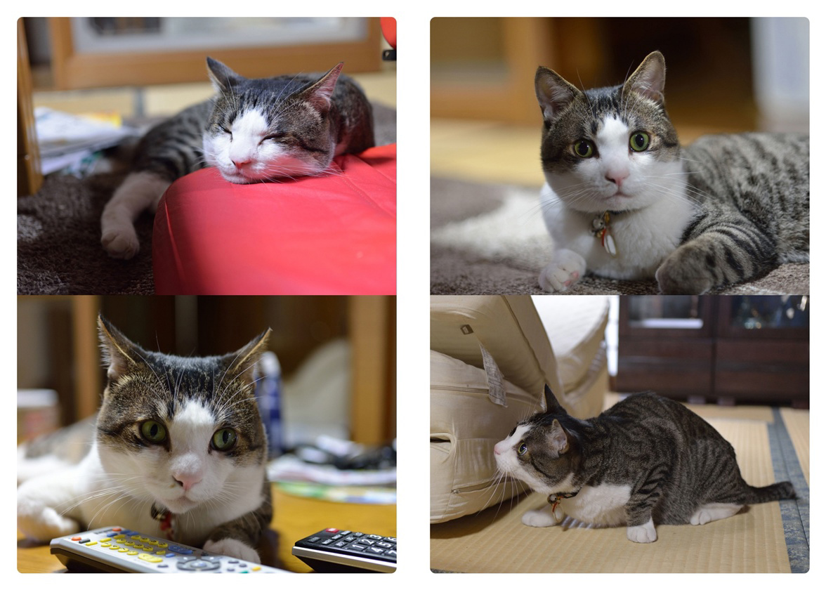 フォトブック 8ページ目