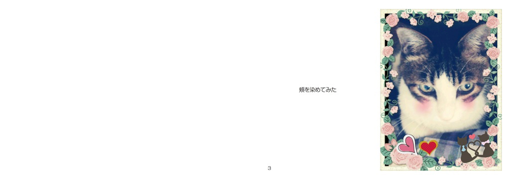 フォトブック 2ページ目