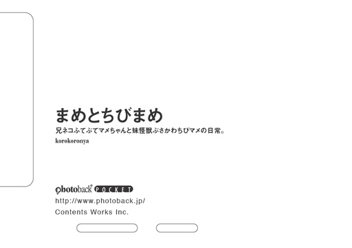 フォトブック ジャケット裏