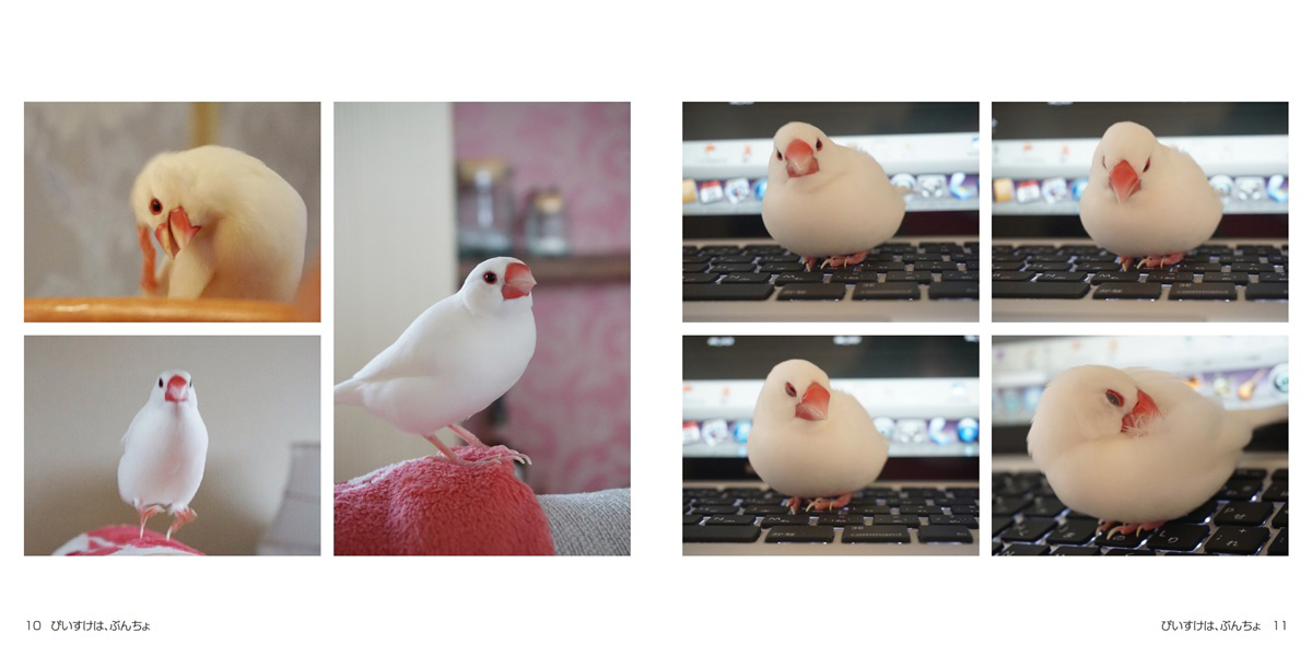 フォトブック 10ページ目