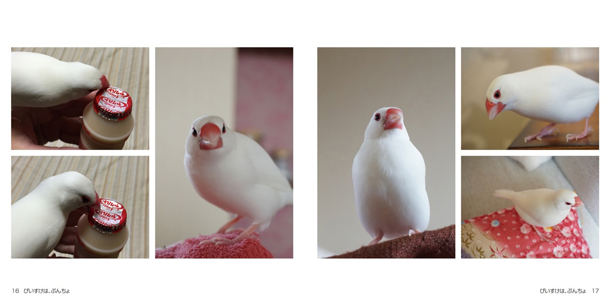 フォトブック 16ページ目