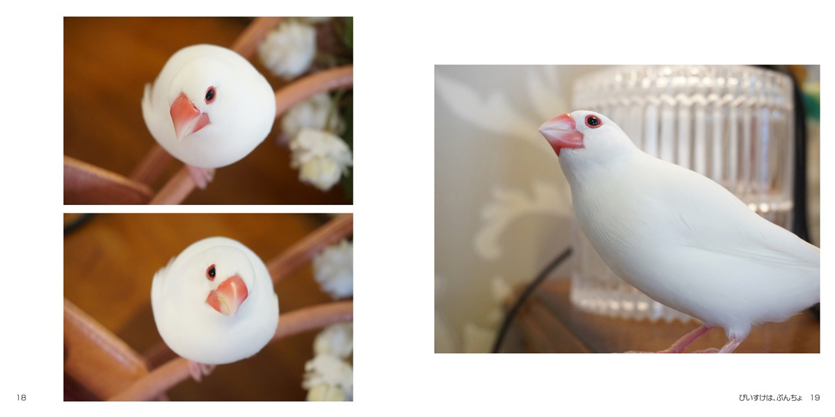 フォトブック 18ページ目