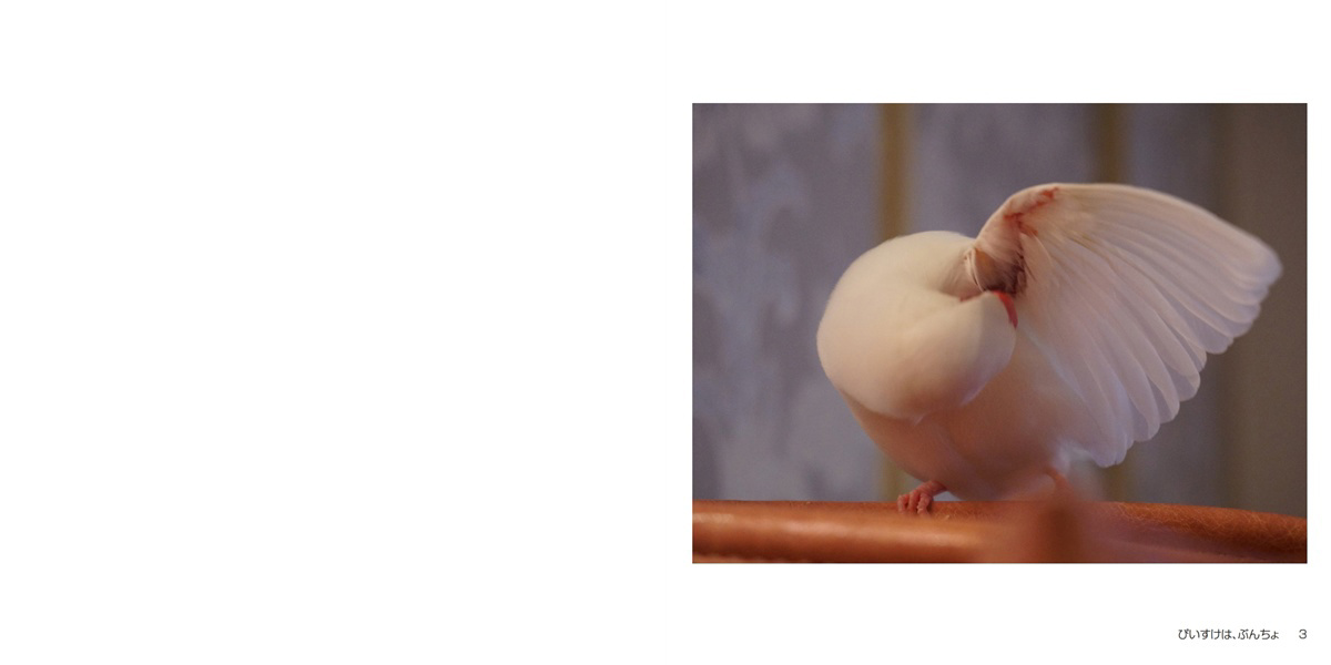 フォトブック 2ページ目