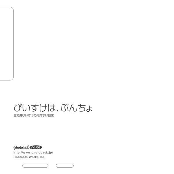 フォトブック ジャケット裏