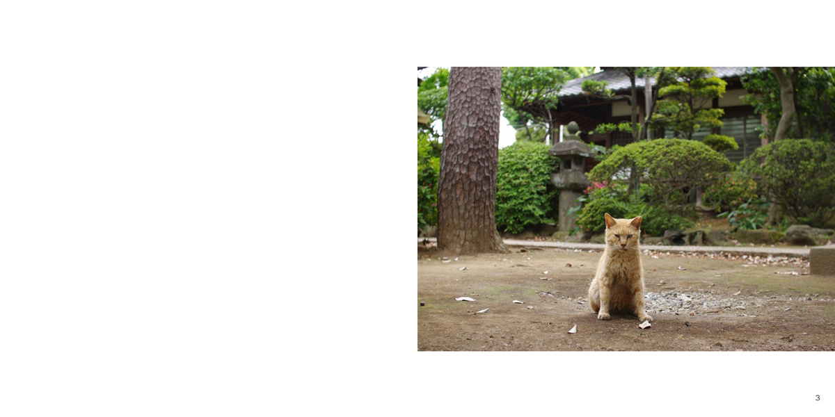フォトブック 2ページ目