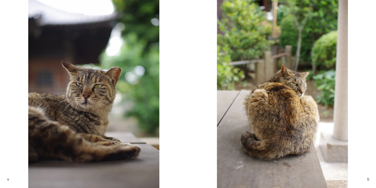 フォトブック 4ページ目