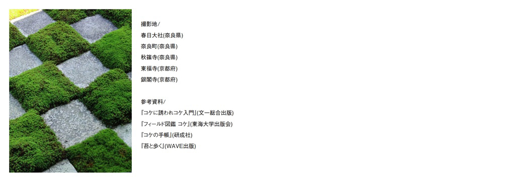 フォトブック 14ページ目
