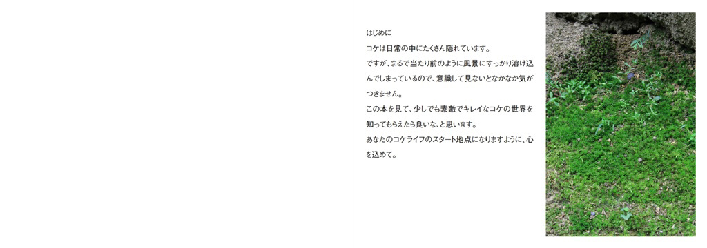 フォトブック 2ページ目