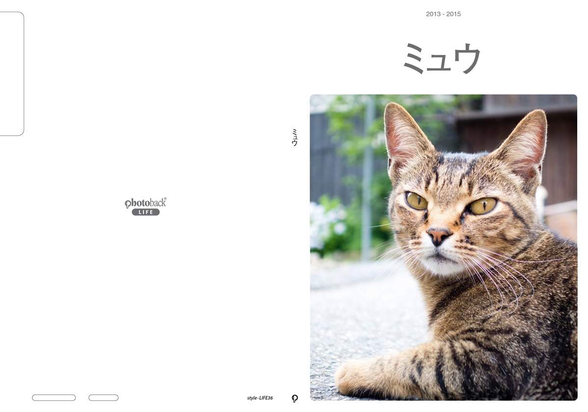 フォトブック ジャケット