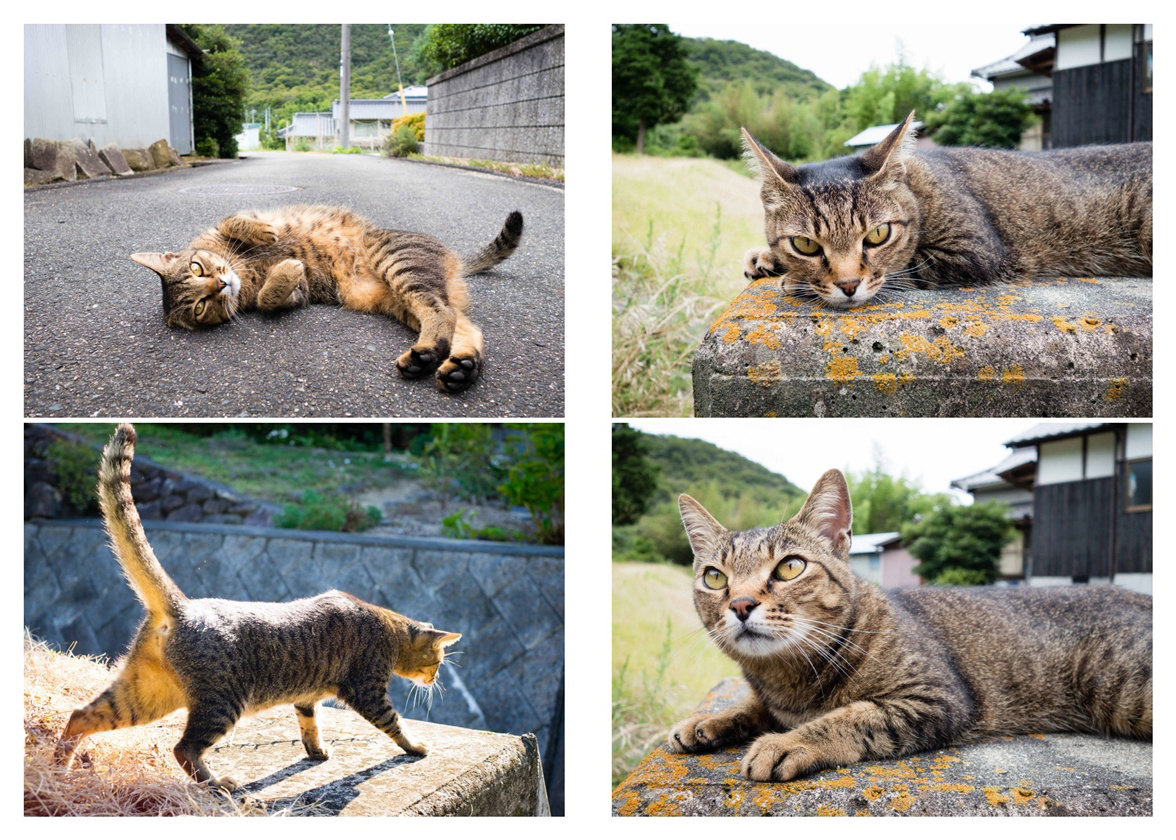 フォトブック 10ページ目