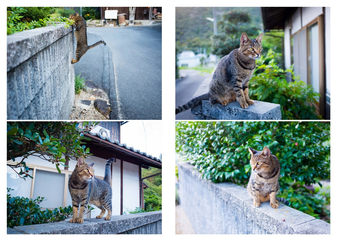 フォトブック 20ページ目