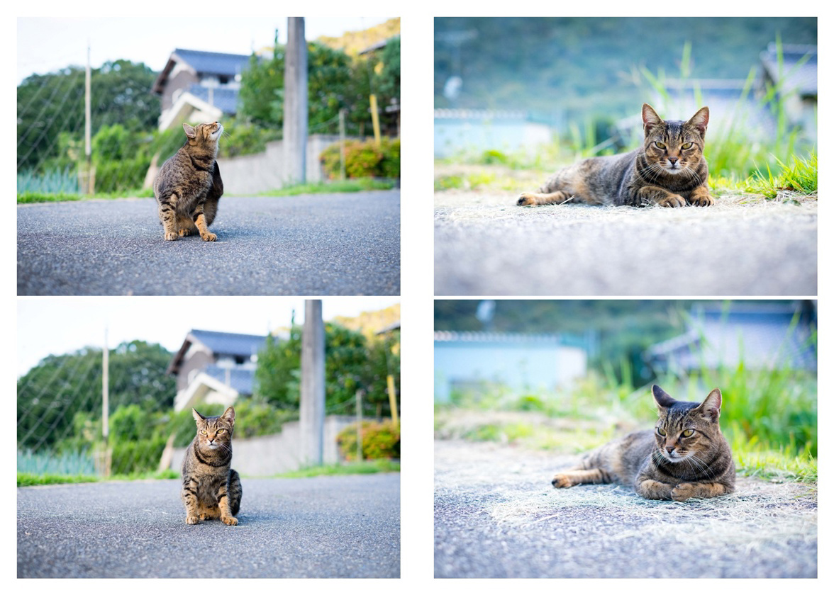フォトブック 28ページ目