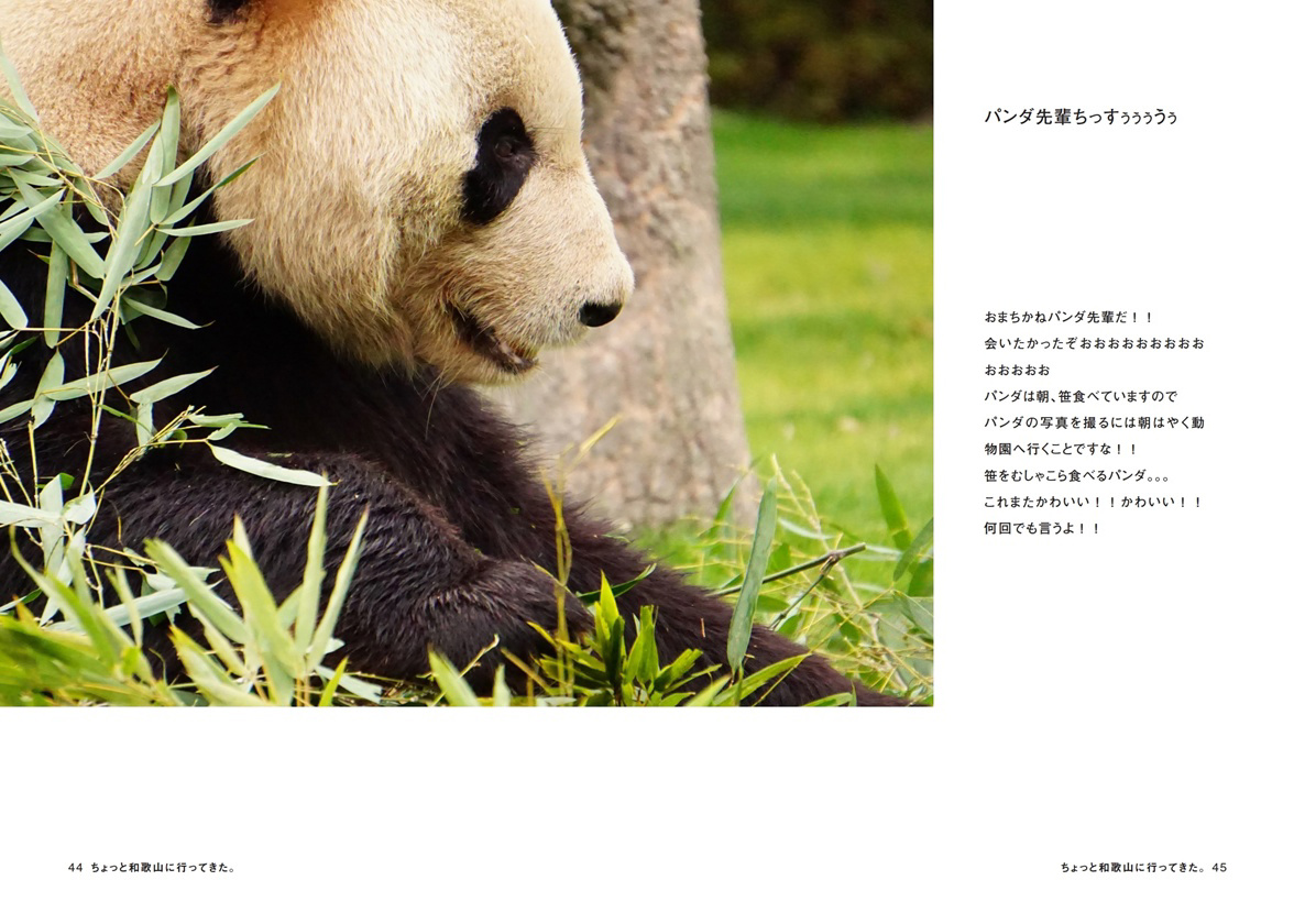 フォトブック 44ページ目