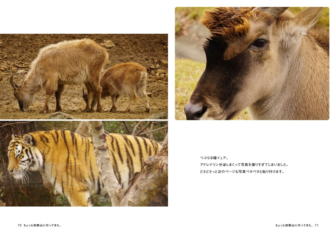 フォトブック 70ページ目