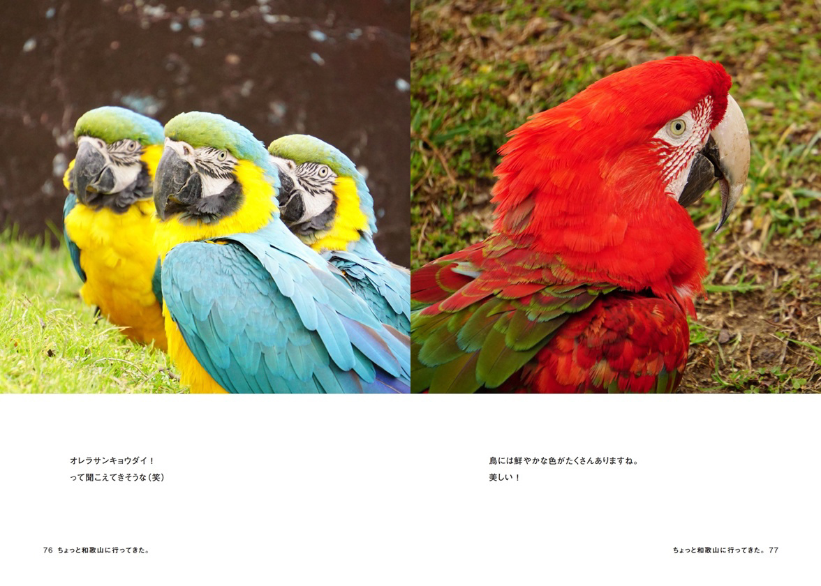 フォトブック 76ページ目
