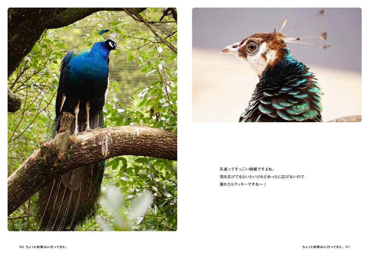 フォトブック 90ページ目