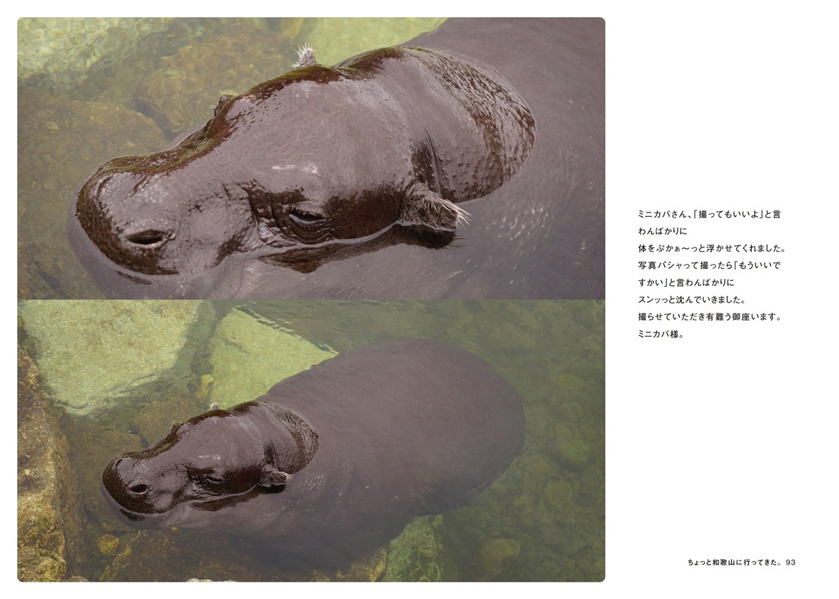 フォトブック 92ページ目