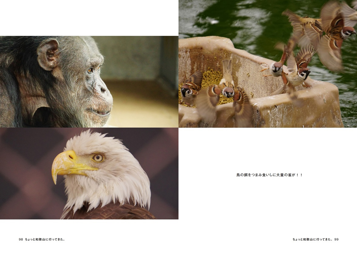 フォトブック 98ページ目