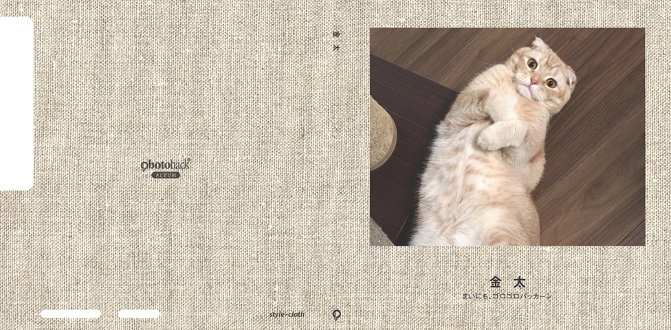 フォトブック ジャケット