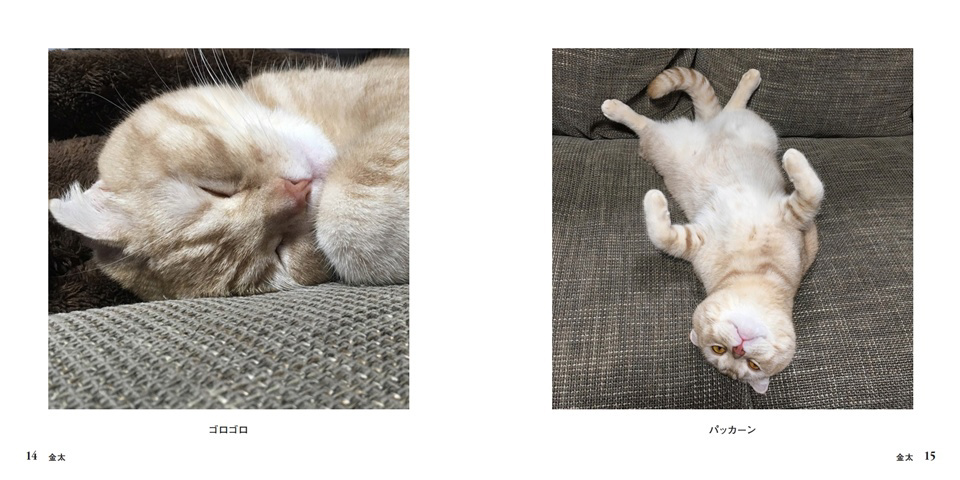 フォトブック 14ページ目