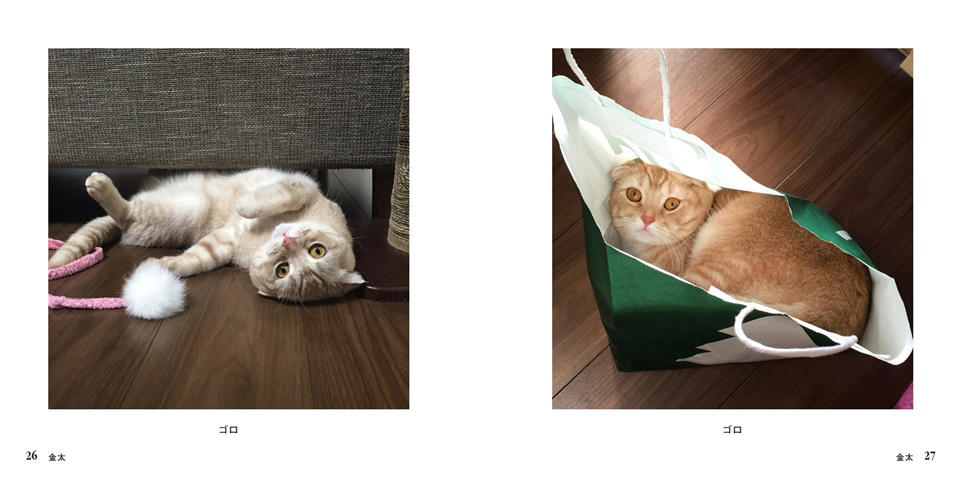フォトブック 26ページ目