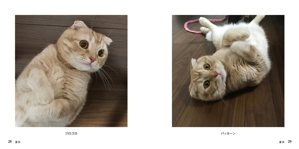 フォトブック 28ページ目