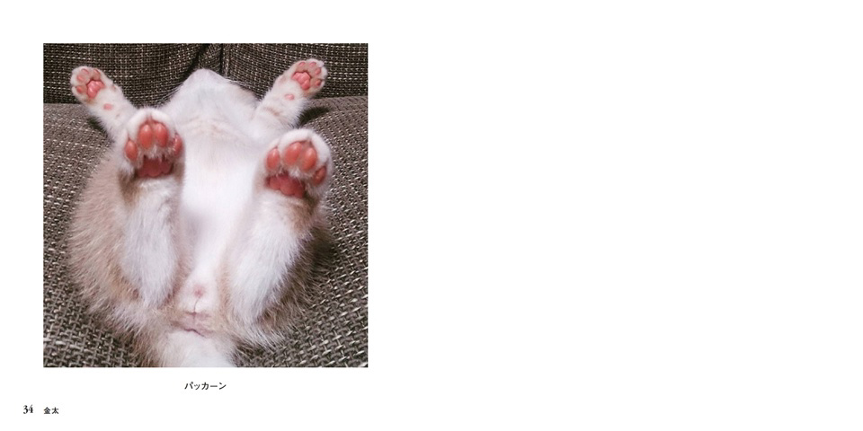 フォトブック 34ページ目