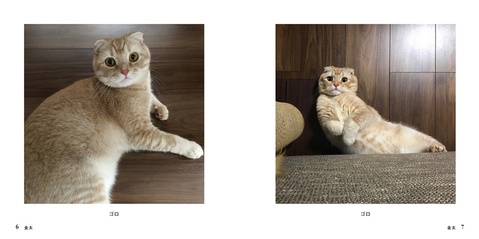 フォトブック 6ページ目